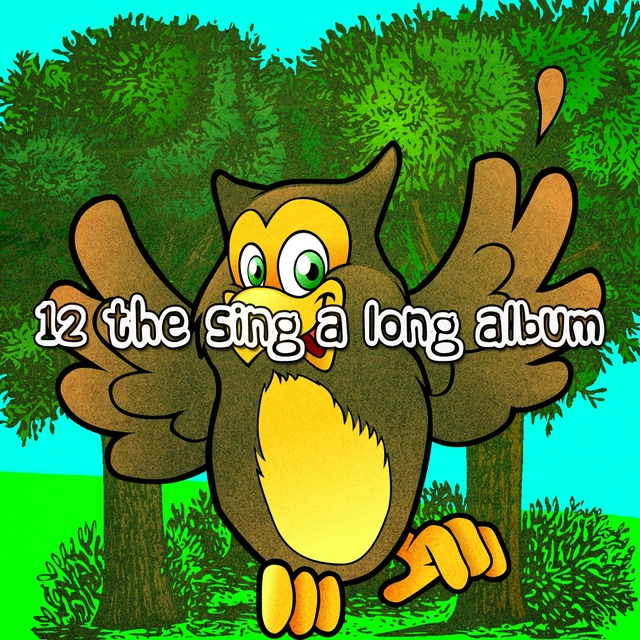 Couverture de 12 The Sing A Long Album