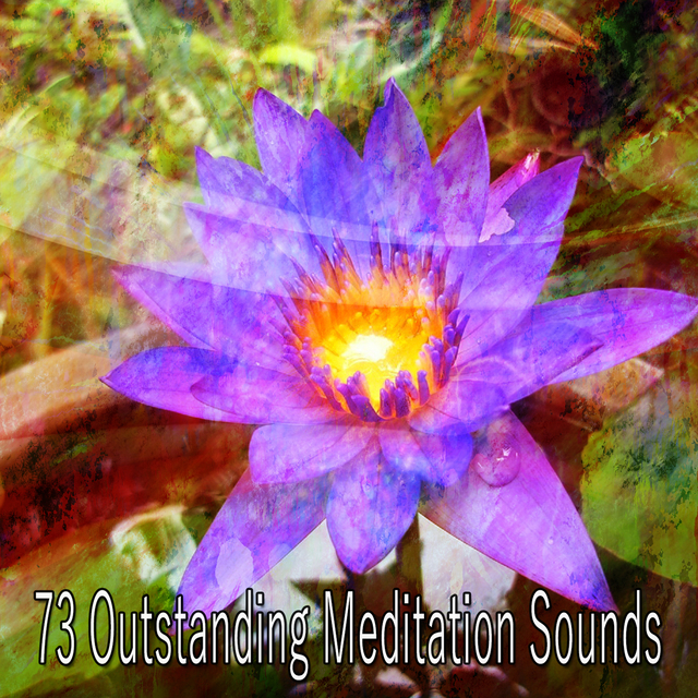 Couverture de 73 Outstanding Meditation Sounds