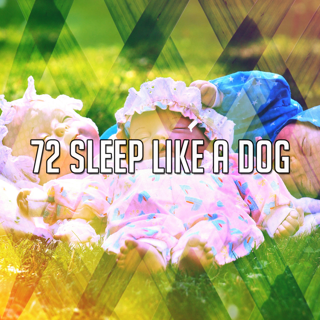72 Sleep Like A Dog