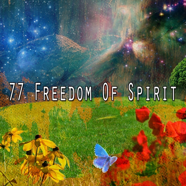 Couverture de 77 Freedom Of Spirit