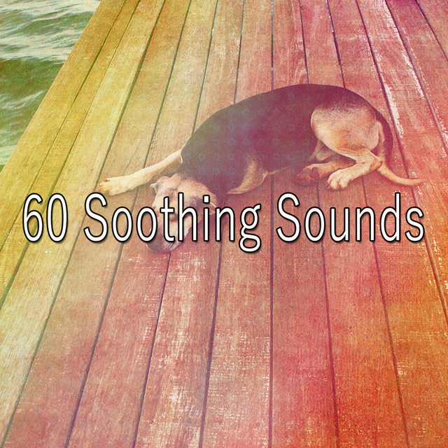 Couverture de 60 Soothing Sounds