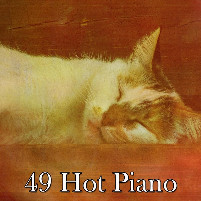 Couverture de 49 Hot Piano