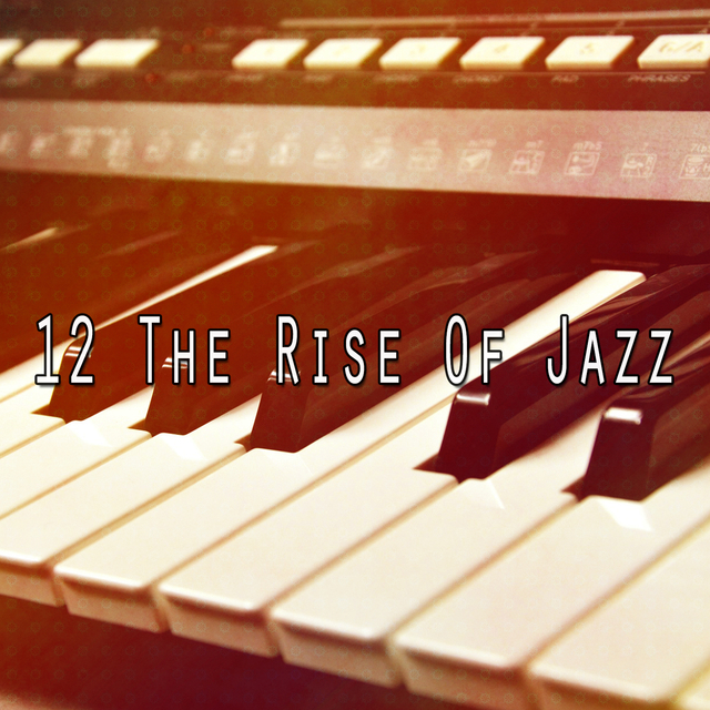 Couverture de 12 The Rise Of Jazz