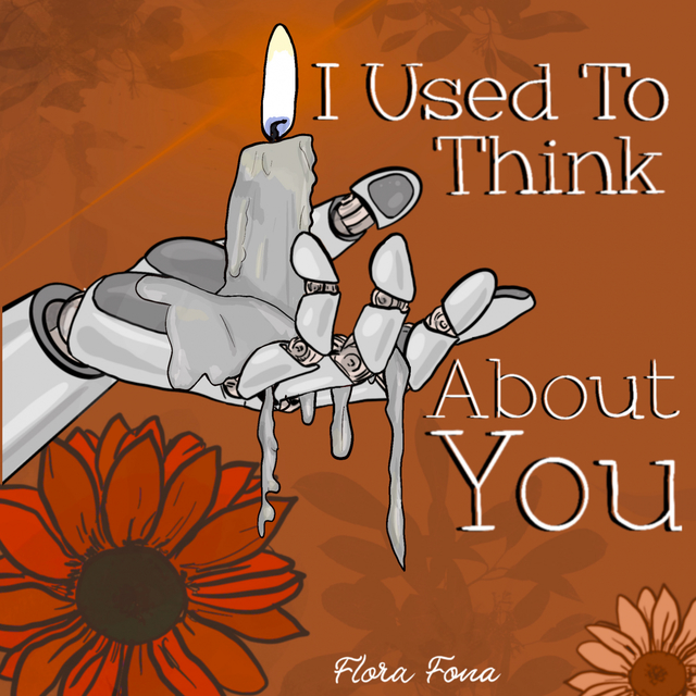 Couverture de I Used to Think About You