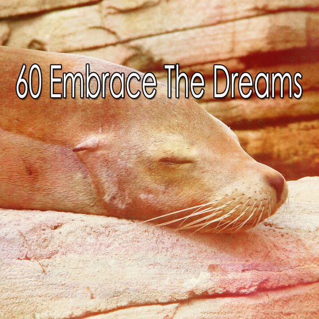 Couverture de 60 Embrace The Dreams