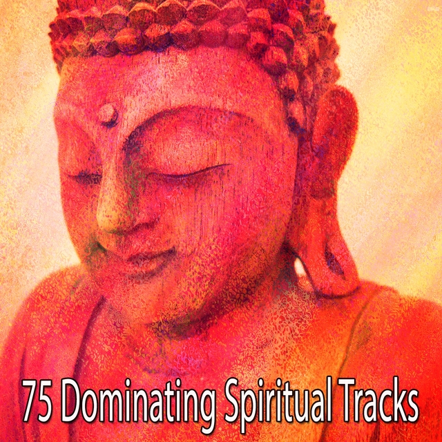 Couverture de 75 Dominating Spiritual Tracks