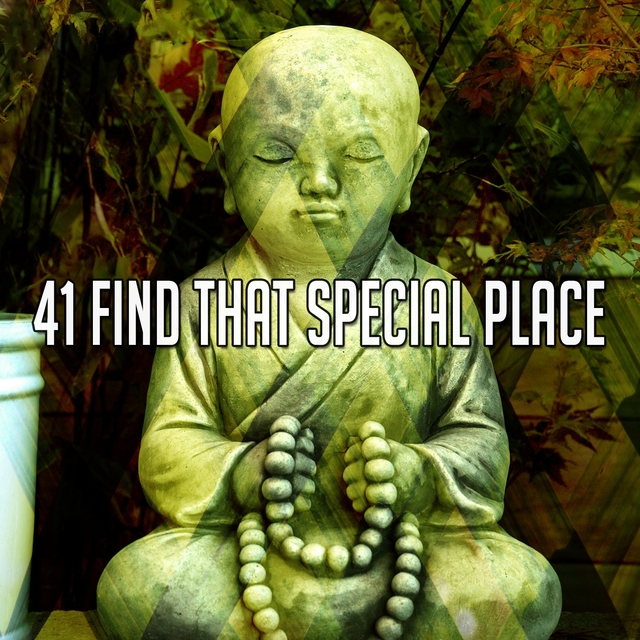 Couverture de 41 Find That Special Place