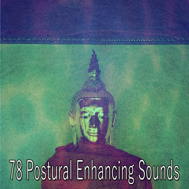 Couverture de 78 Postural Enhancing Sounds