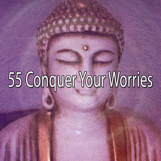 Couverture de 55 Conquer Your Worries