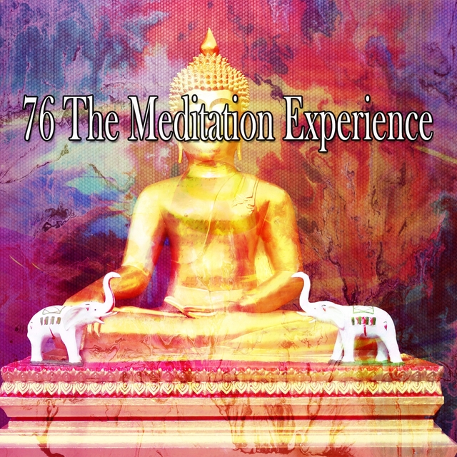 Couverture de 76 The Meditation Experience