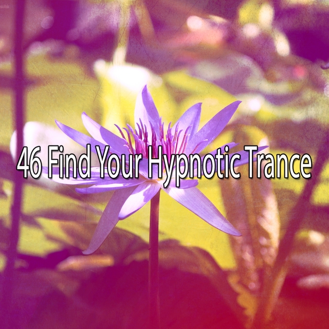 Couverture de 46 Find Your Hypnotic Trance