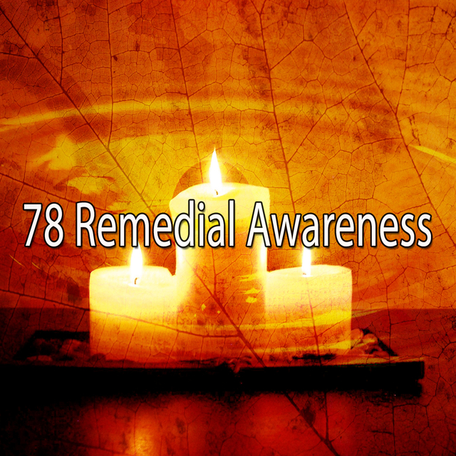 Couverture de 78 Remedial Awareness