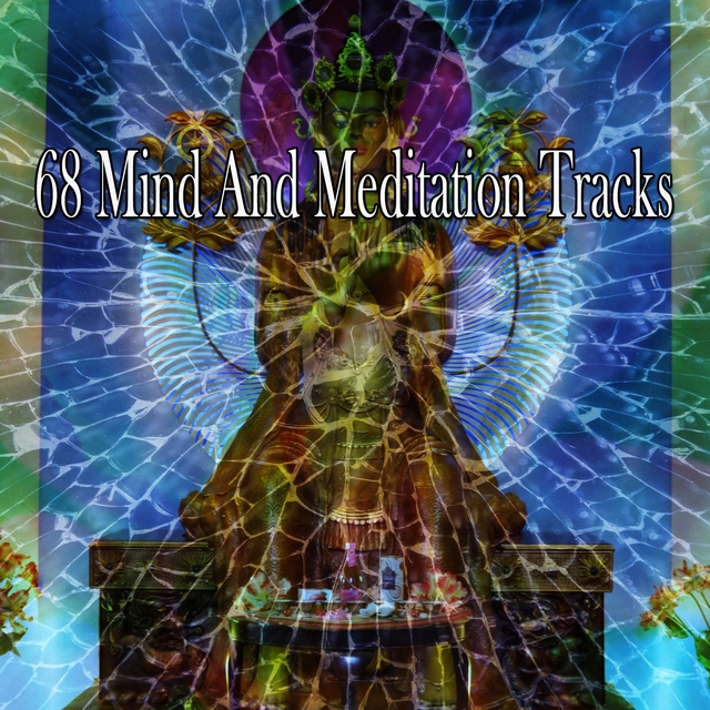 Couverture de 68 Mind And Meditation Tracks