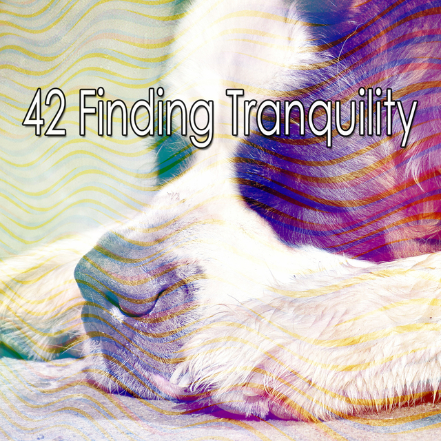 Couverture de 42 Finding Tranquility