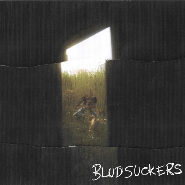 Couverture de Bludsuckers