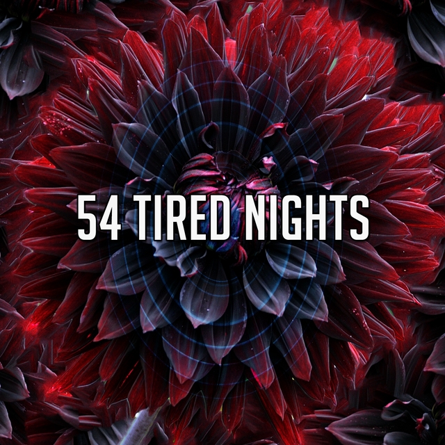 Couverture de 54 Tired Nights