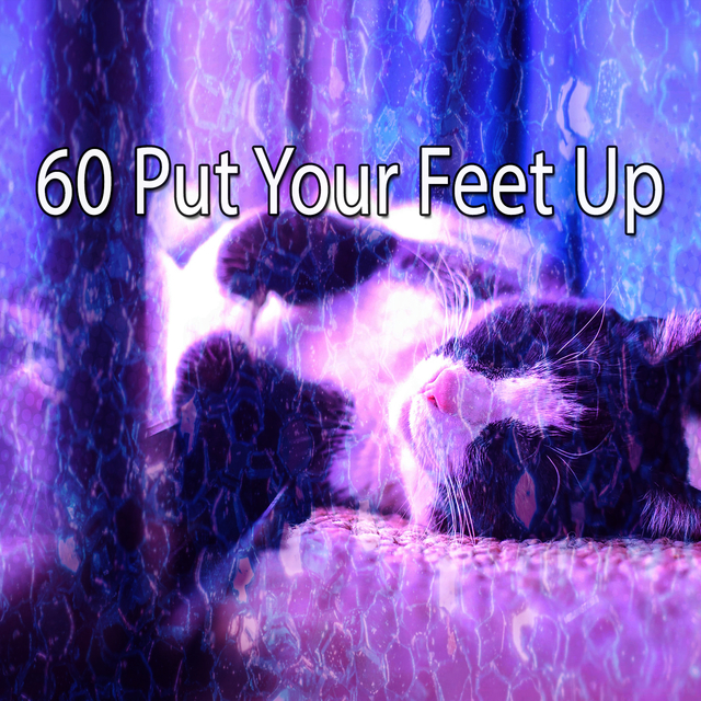 60 Put Your Feet Up