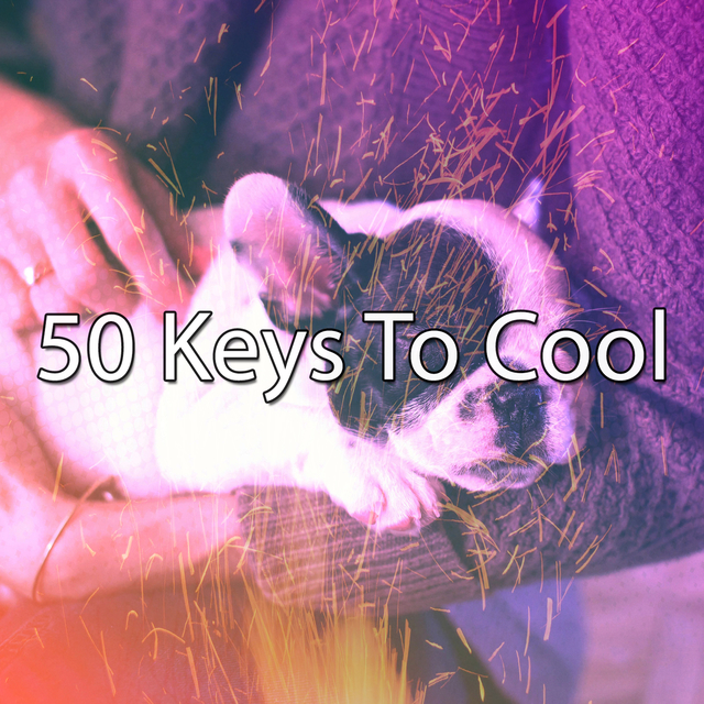 Couverture de 50 Keys To Cool