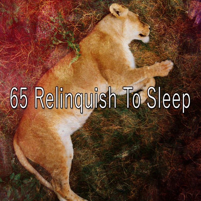 Couverture de 65 Relinquish To Sleep