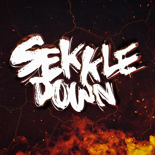 Couverture de Sekkle Down