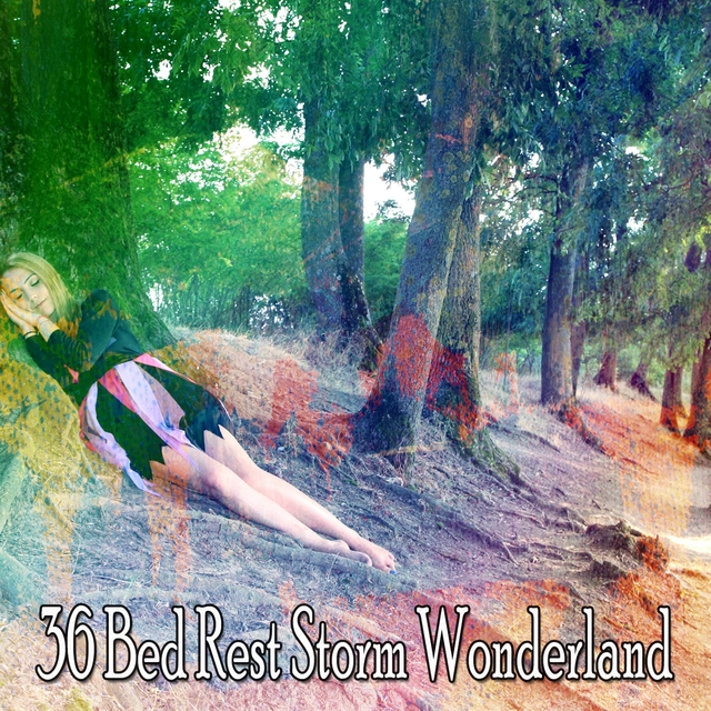 Couverture de 36 Bed Rest Storm Wonderland