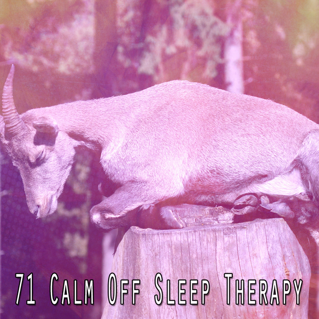 Couverture de 71 Calm Off Sleep Therapy