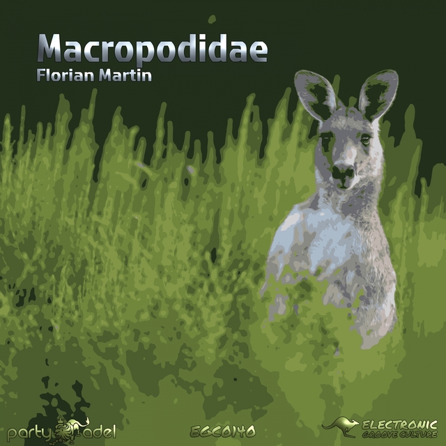 Couverture de Macropodidae