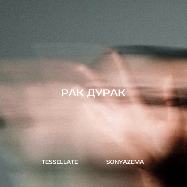 Couverture de Рак дурак