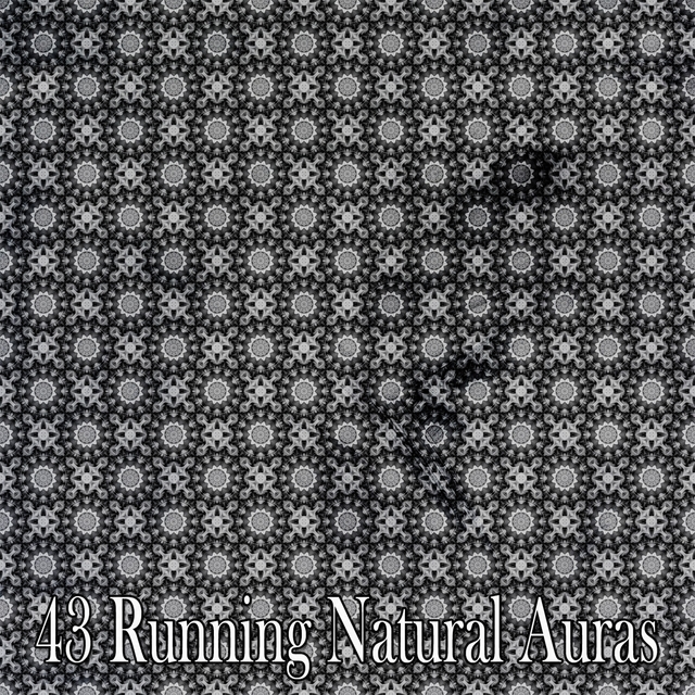 Couverture de 43 Running Natural Auras