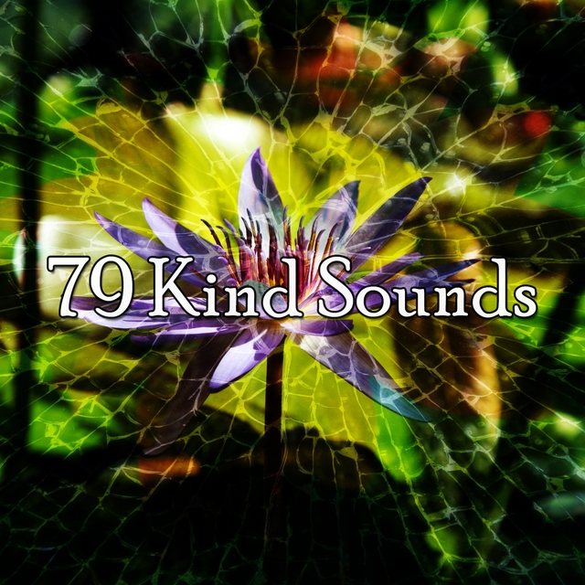 Couverture de 79 Kind Sounds