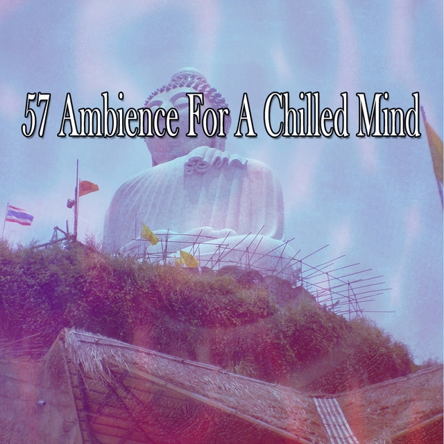 Couverture de 57 Ambience For A Chilled Mind