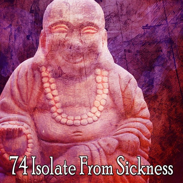 Couverture de 74 Isolate From Sickness