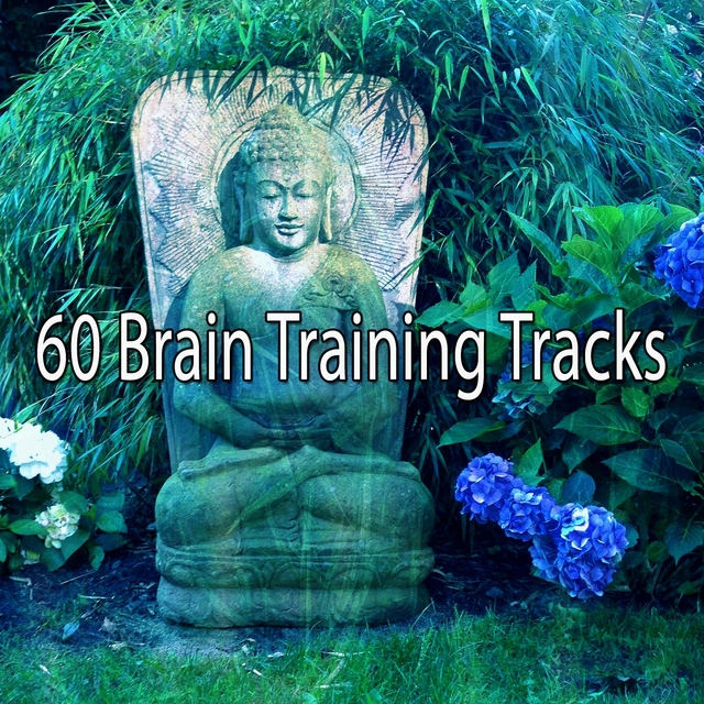 Couverture de 60 Brain Training Tracks