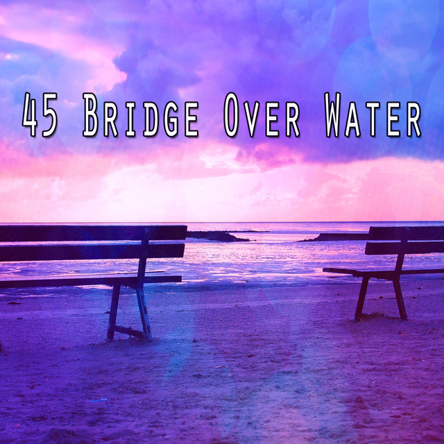 Couverture de 45 Bridge Over Water