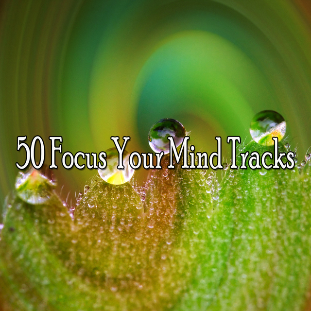 Couverture de 50 Focus Your Mind Tracks