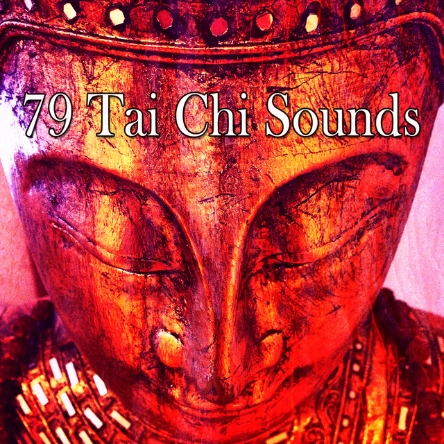 Couverture de 79 Tai Chi Sounds