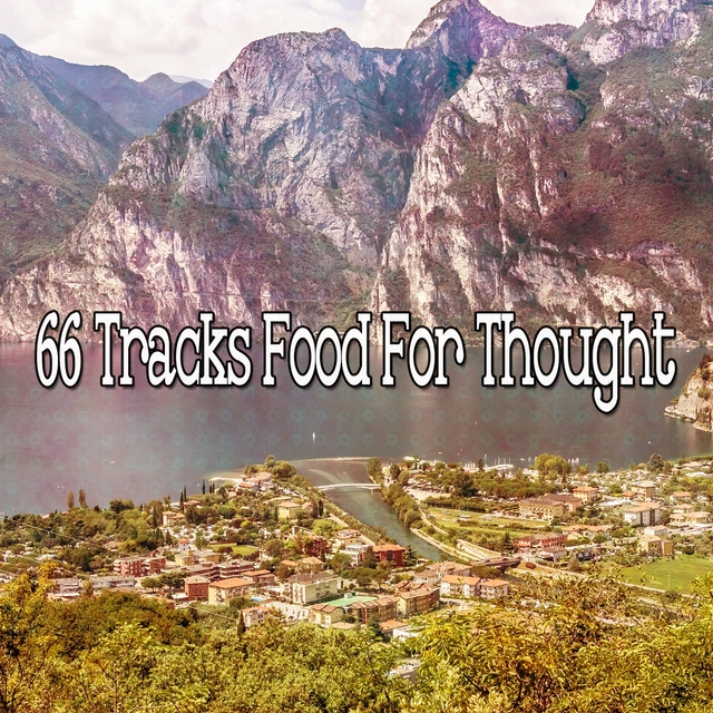 Couverture de 66 Tracks Food For Thought