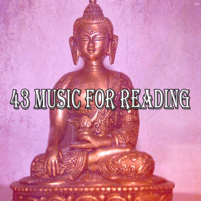 Couverture de 43 Music For Reading