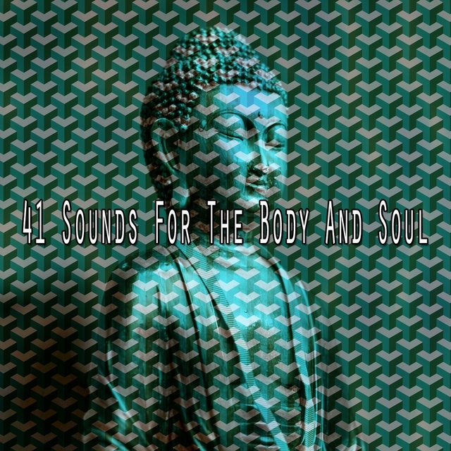 Couverture de 41 Sounds For The Body And Soul