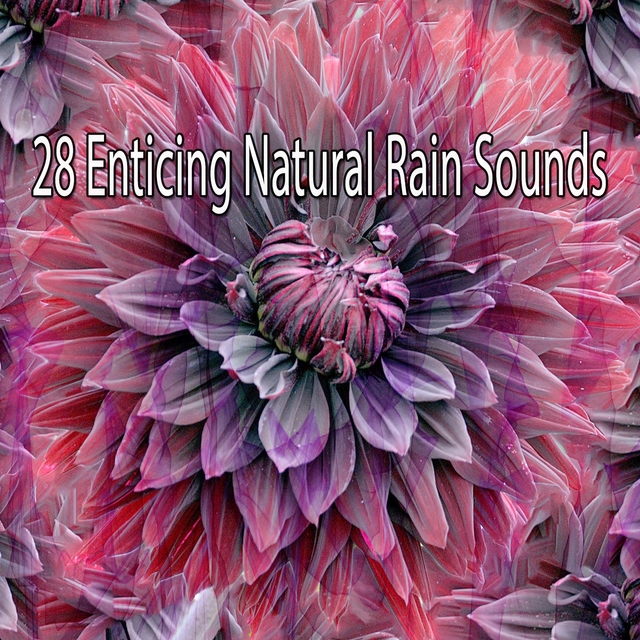 Couverture de 28 Enticing Natural Rain Sounds