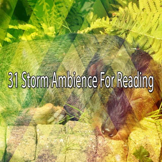 Couverture de 31 Storm Ambience For Reading