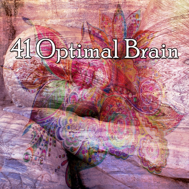 Couverture de 41 Optimal Brain