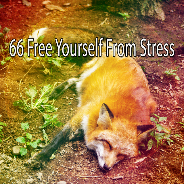Couverture de 66 Free Yourself From Stress