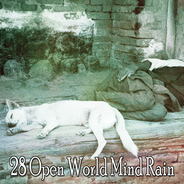 Couverture de 28 Open World Mind Rain