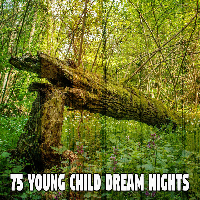 Couverture de 75 Young Child Dream Nights