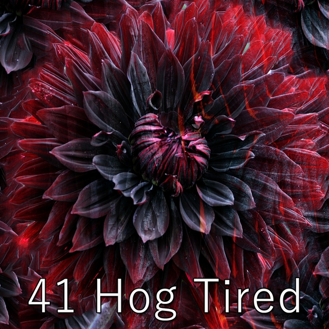 Couverture de 41 Hog Tired