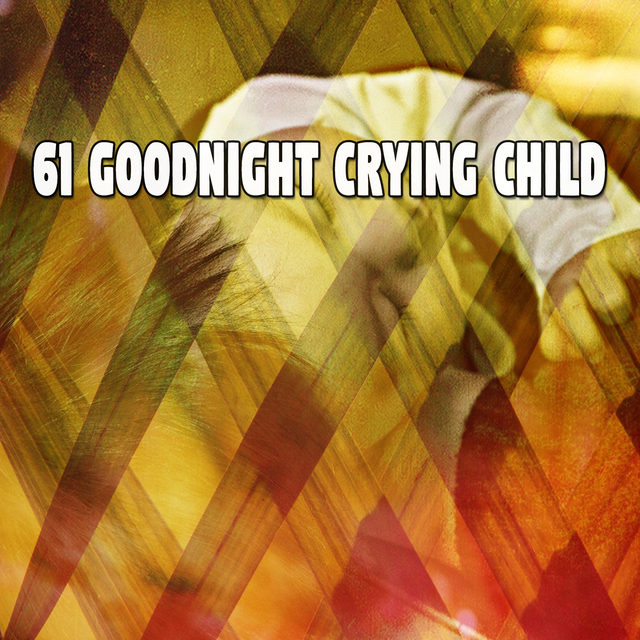 Couverture de 61 Goodnight Crying Child