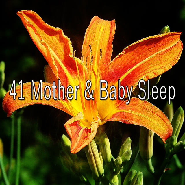 Couverture de 41 Mother & Baby Sleep