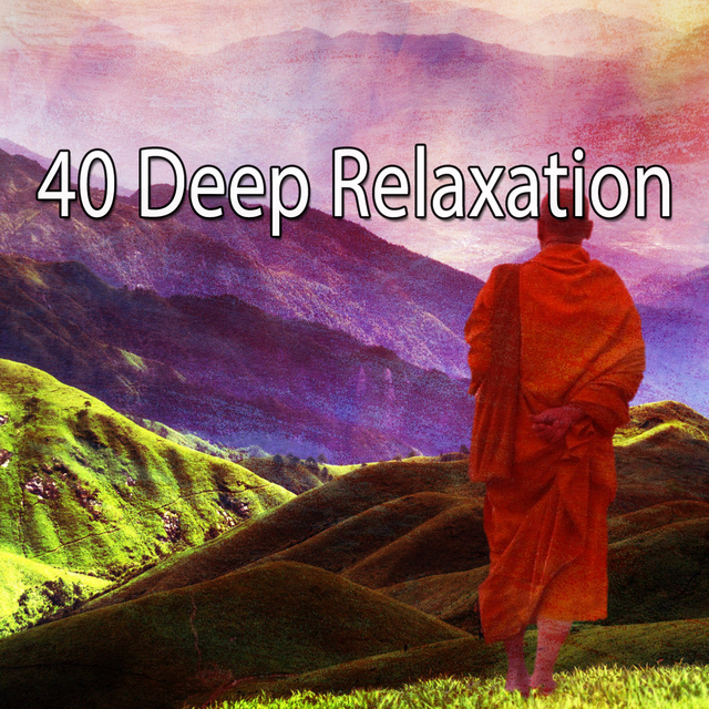 Couverture de 40 Deep Relaxation