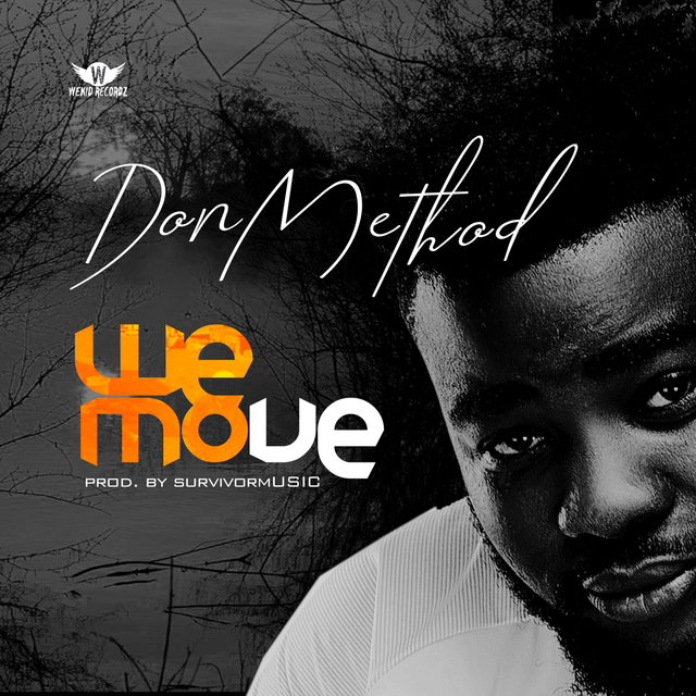 Couverture de We Move